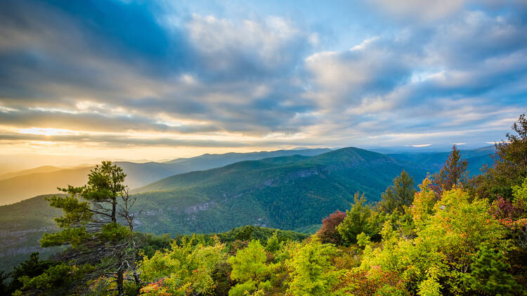 Pisgah National Forest