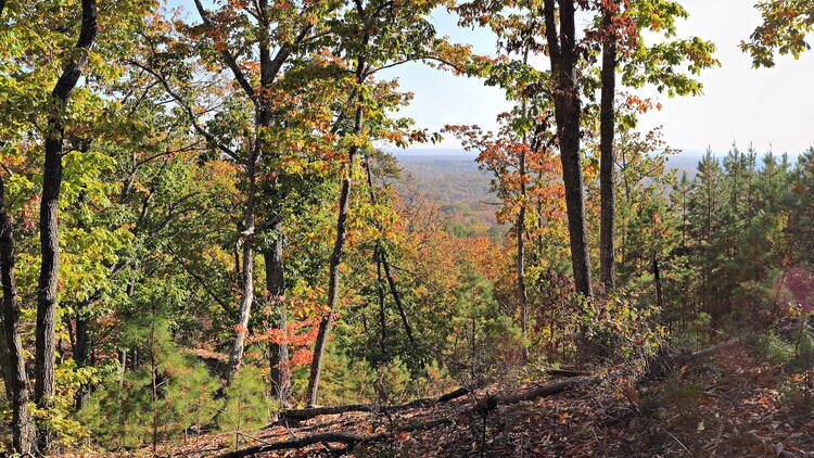 King's Mountain State Park