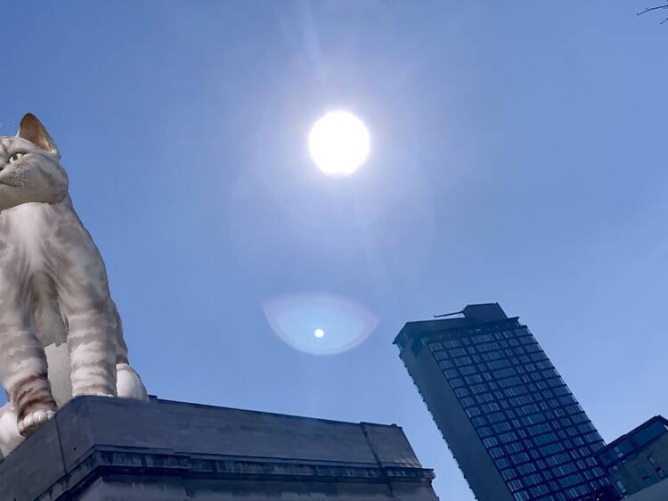 Giant animated creatures are taking over the rooftops of this British city