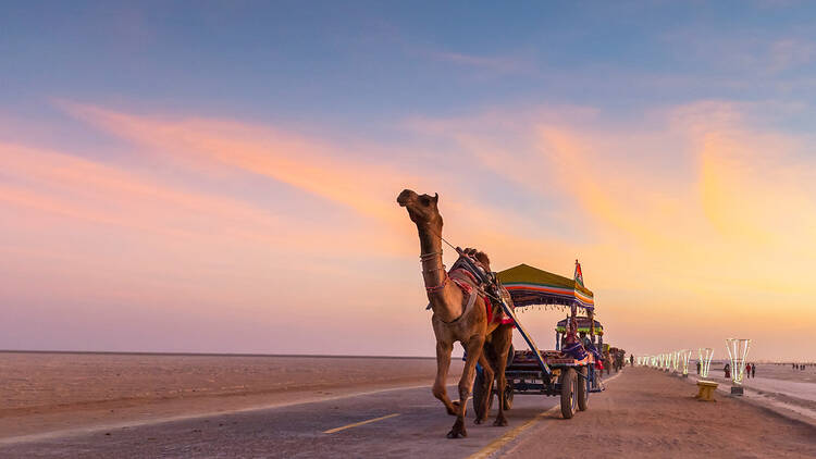 Ahmedabad to Kutch