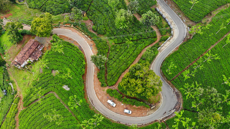 Bengaluru to Ooty