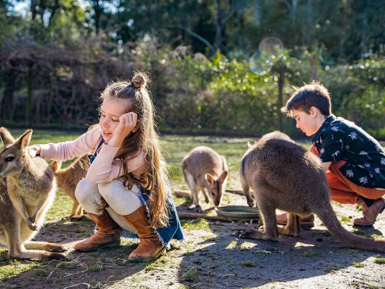 Bring the whole family on a NSW trip to treasure