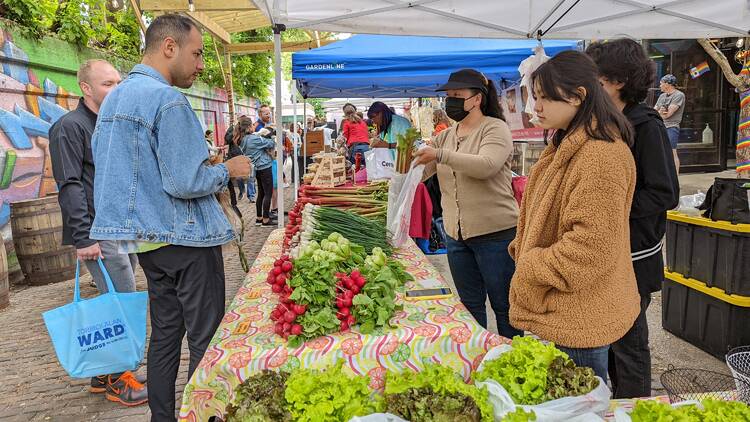 The best farmers markets in Chicago to explore