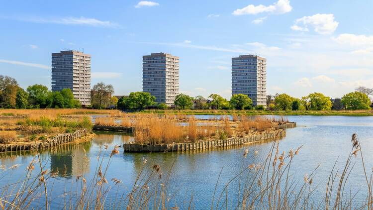 Woodberry Wetlands 