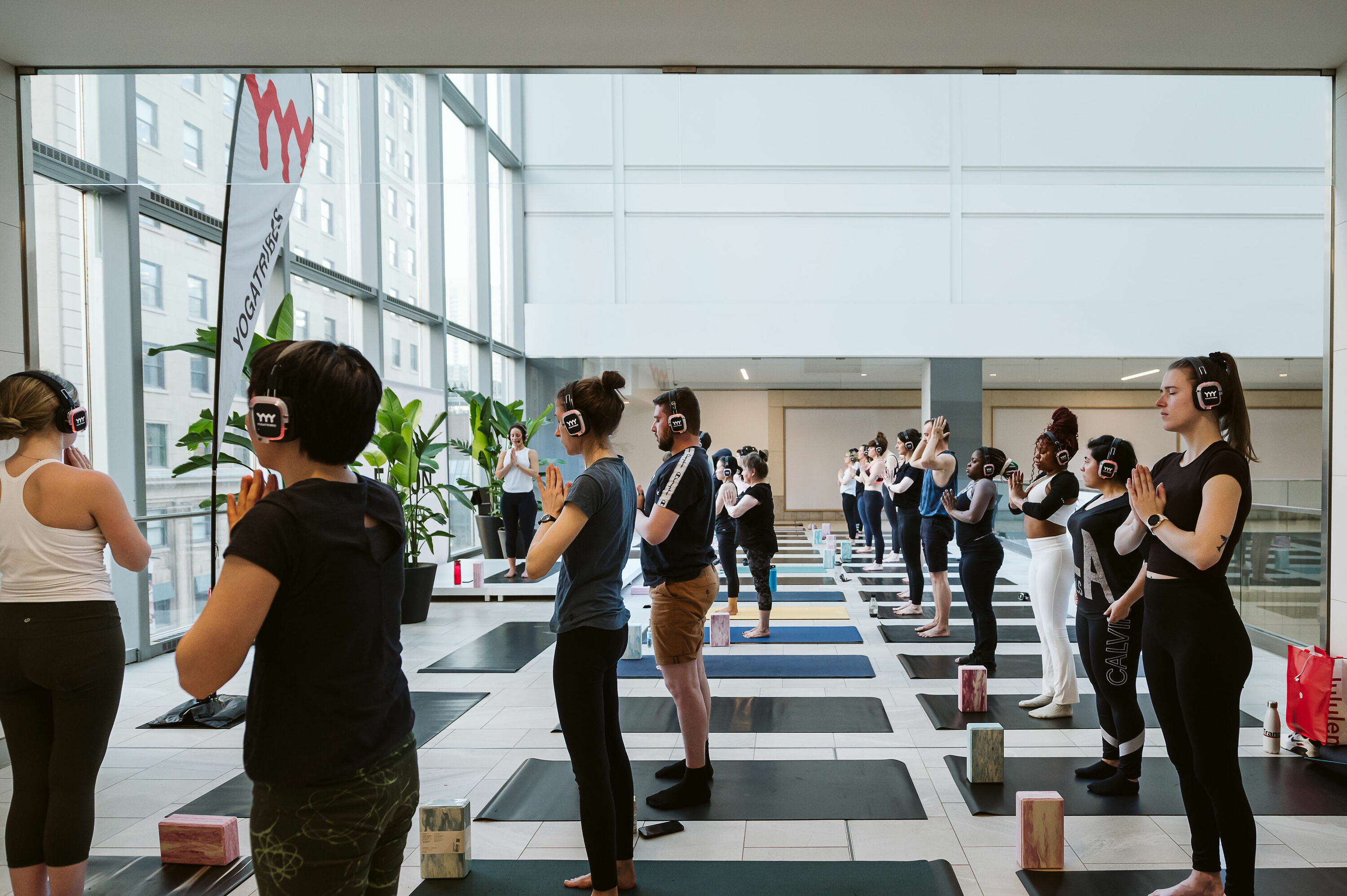 Don't miss the free immersive yoga classes in downtown Montreal