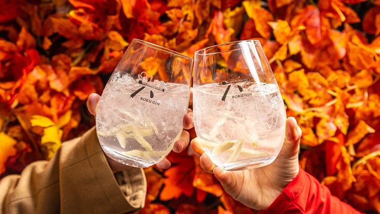 Gin and Tonics with autumn leaves in the background 