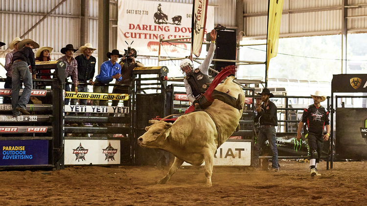 A guy riding a bull at Meatstock