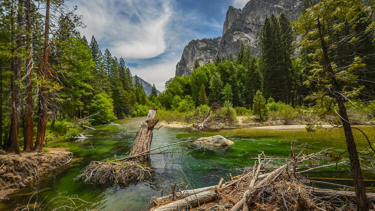 Sequoia and Kings canyon national park