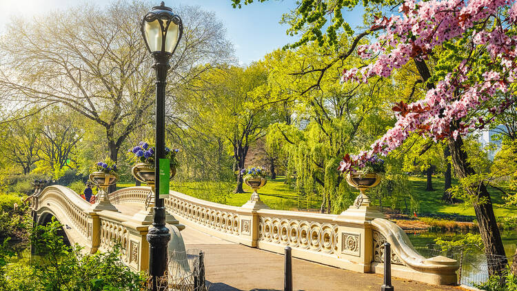 Bow Bridge in Central Park.