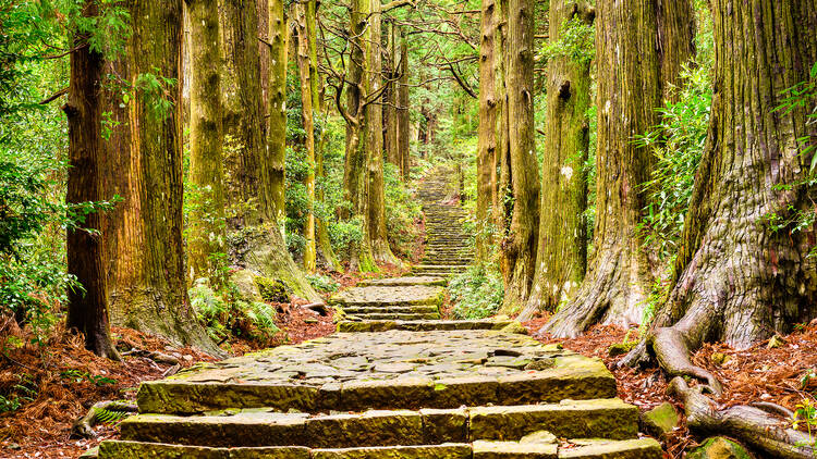 Kumano Kodo trail Wakayama