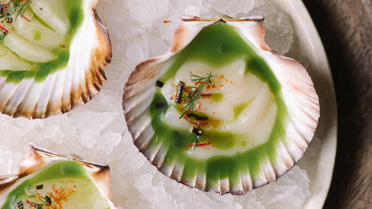 Shellfish with green oil, on ice.