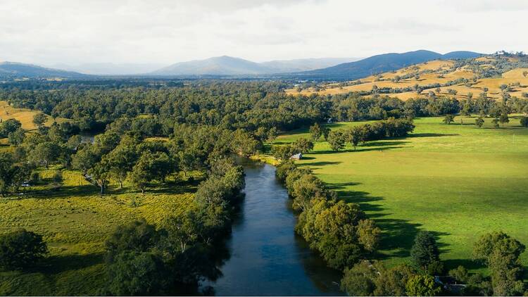 An aerial view of the Murray River 