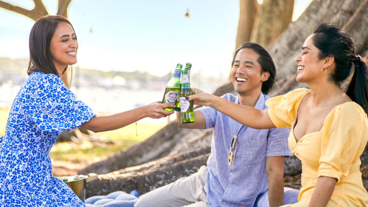 Three people at a picnic clinking beers