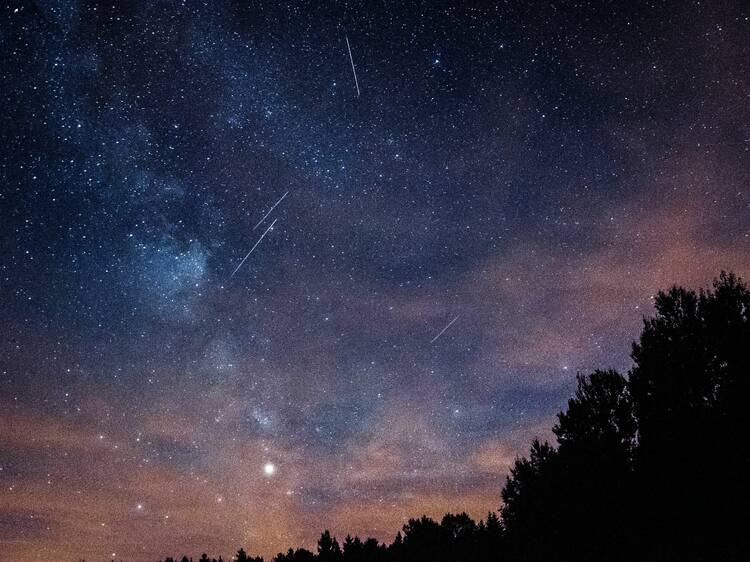 Look up! A spectacular meteor shower will appear in Melbourne's skies very soon