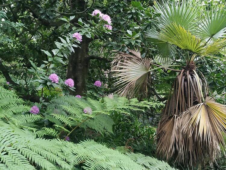 Percurso da Vila Sassetti: descubra um jardim discreto e encantador Percurso da Vila Sassetti: descubra um jardim discreto e encantador