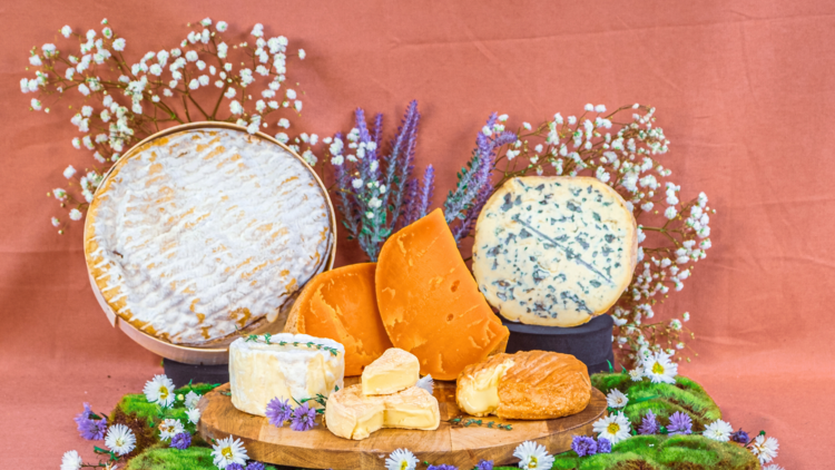 Cheeses with flowers