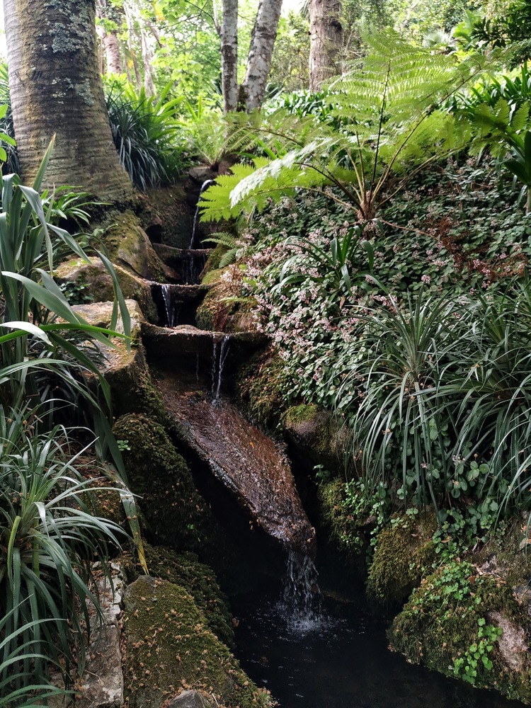 Cascata do Percurso Vila Sassetti
