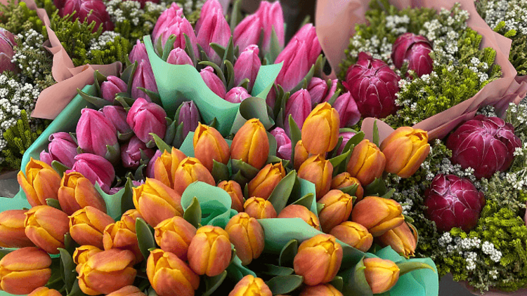 Mercado de las flores Jorge Juan, vuelve el mercadillo callejero de flores más bonito de Madrid