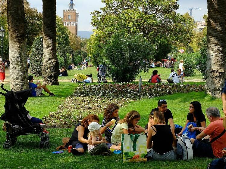 Un oasis al centre de la ciutat