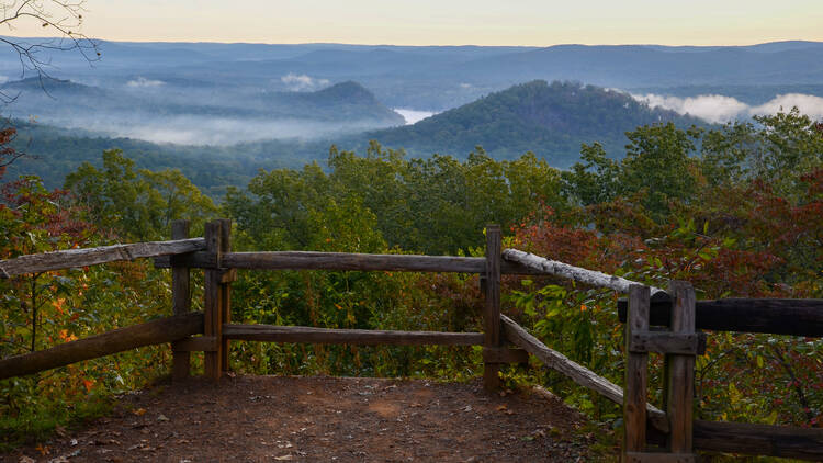 Mount Mitchell State Park