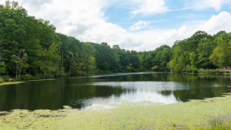 Reedy Creek Park