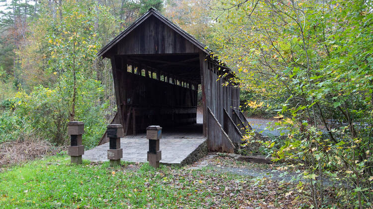 Uwharrie National Forest