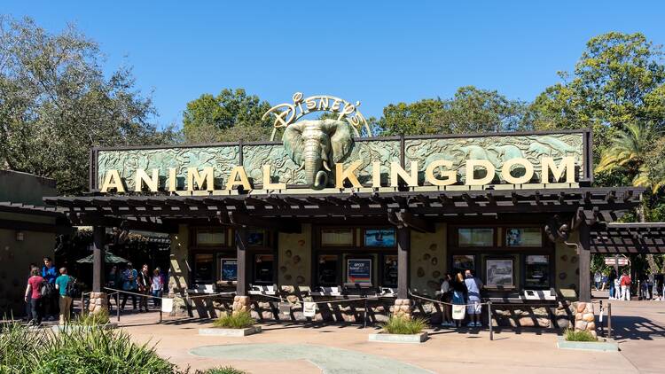 Animal Kingdom