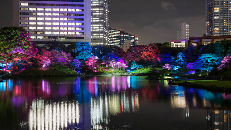 Kyu Shiba Rikyu Gardens