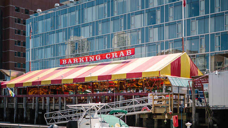 The Barking Crab