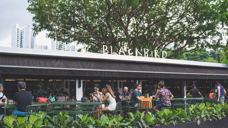 The Blackbird Singapore