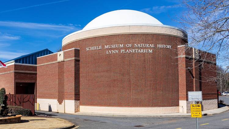 The Schiele Museum of Natural History Dino Safari