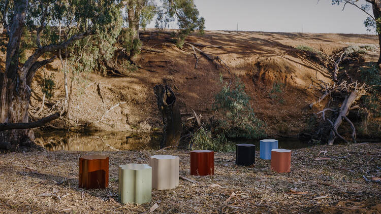picture of woodland with some stubby ceramics