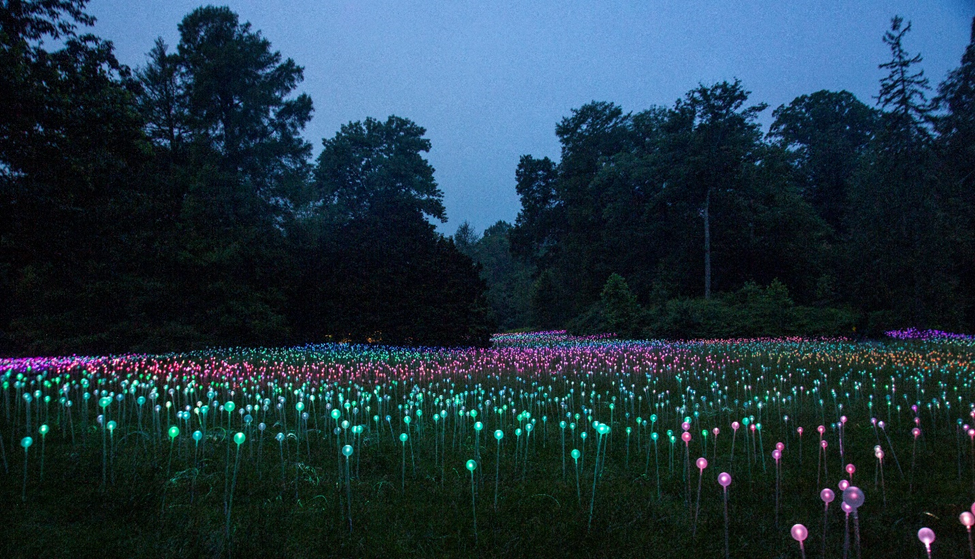 A ‘Field of Light’ installation is about to brighten up Manhattan’s East Side