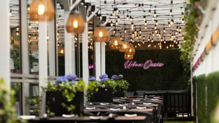 Urban Oasis opens at W Boston