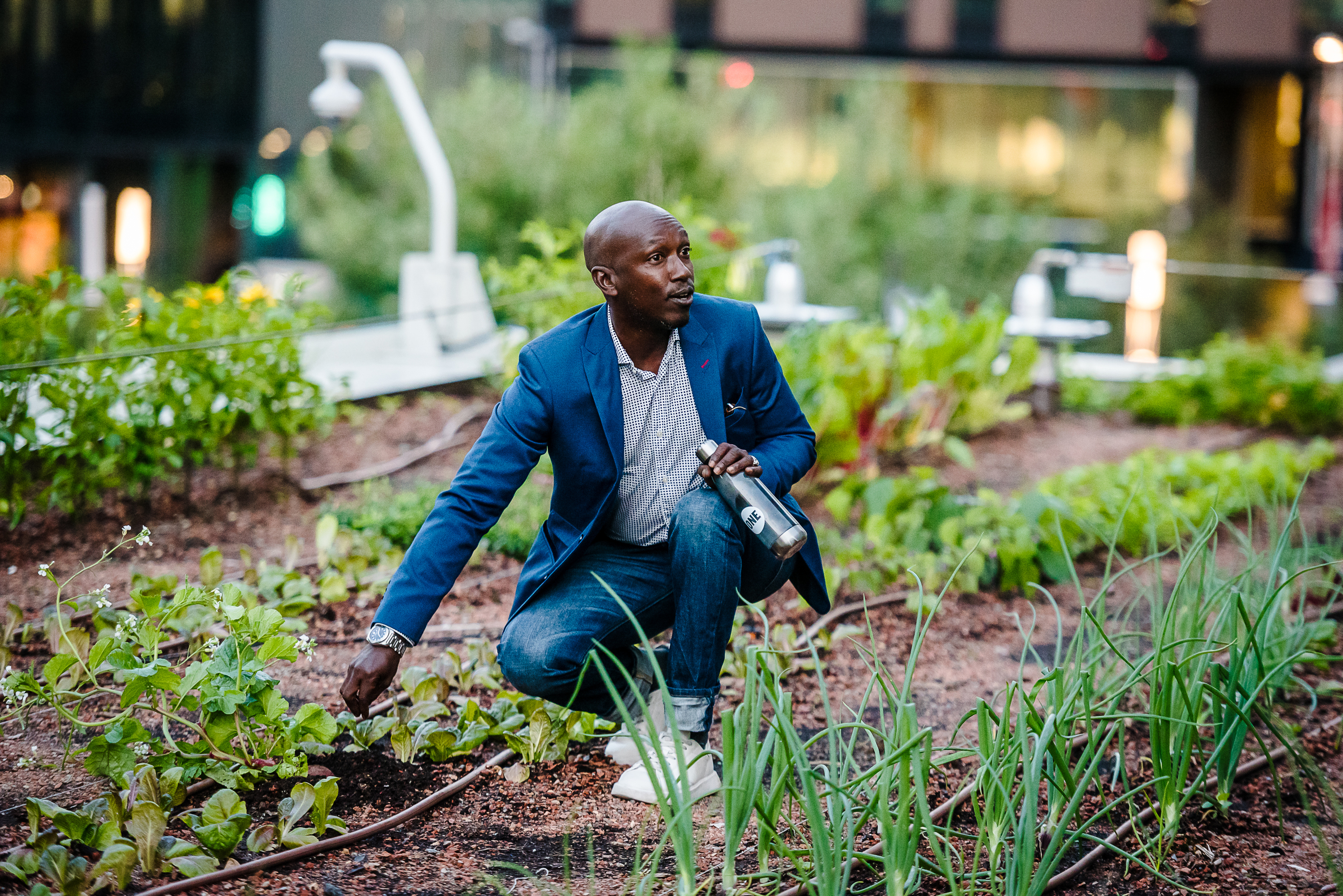 A new secret rooftop garden is open in downtown Montreal