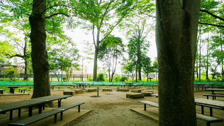 Rinshi-no-mori Park