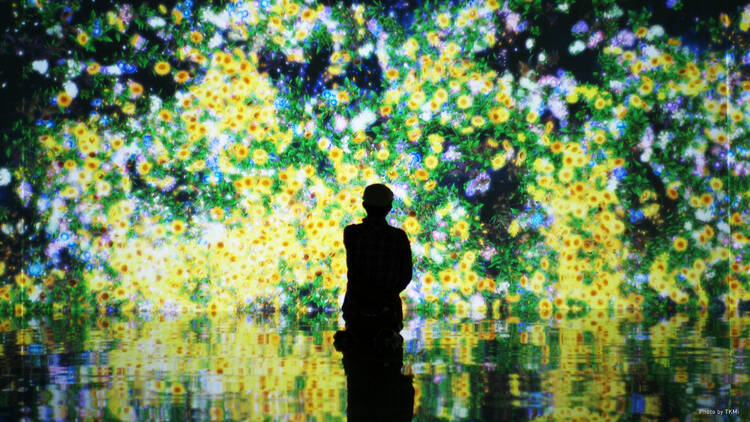 teamLab Gallery Matama Beach, Kunisaki Peninsula (Oita)