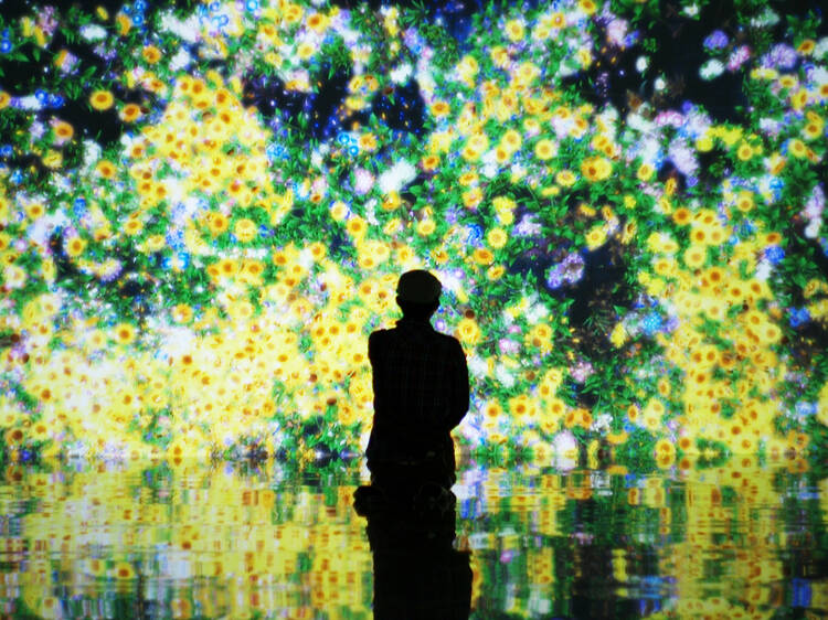 teamLab Gallery Matama Beach, Kunisaki Peninsula (Oita)