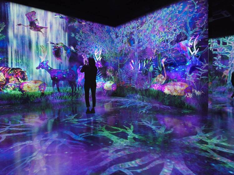 teamLab Forest Fukuoka