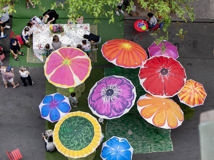 Stroll through Montague Street Blooms