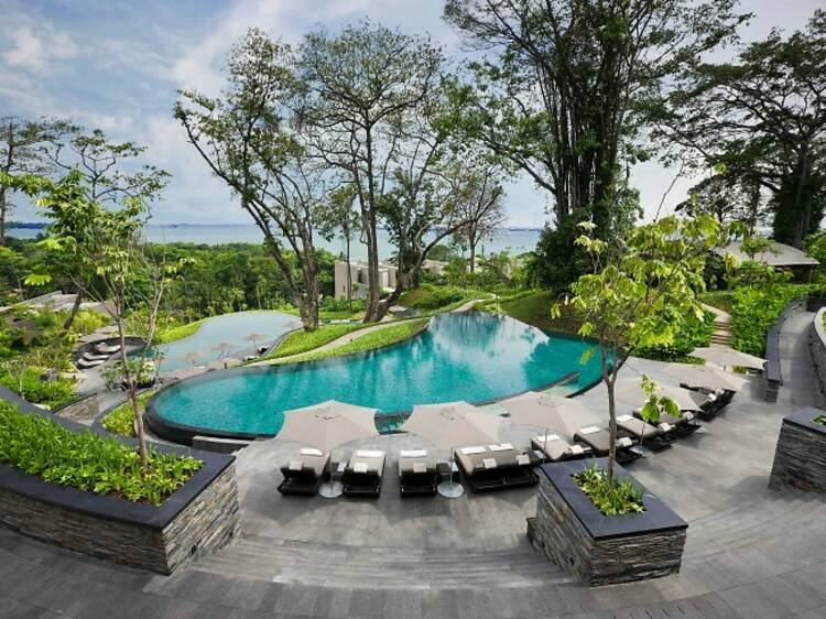 A pool at Capella Hotel Singapore