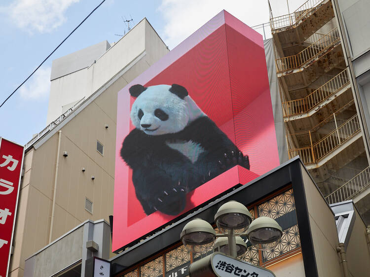 Shibuya: 3D billboard with a panda