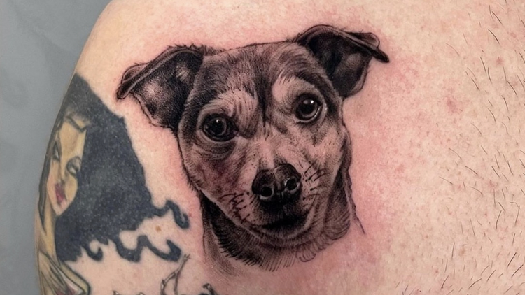 Dog portrait tattoo (The Hidden Rose)