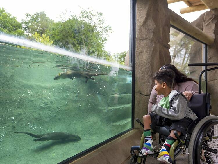 Dino Day Camp at the Fort Wayne Children's Zoo