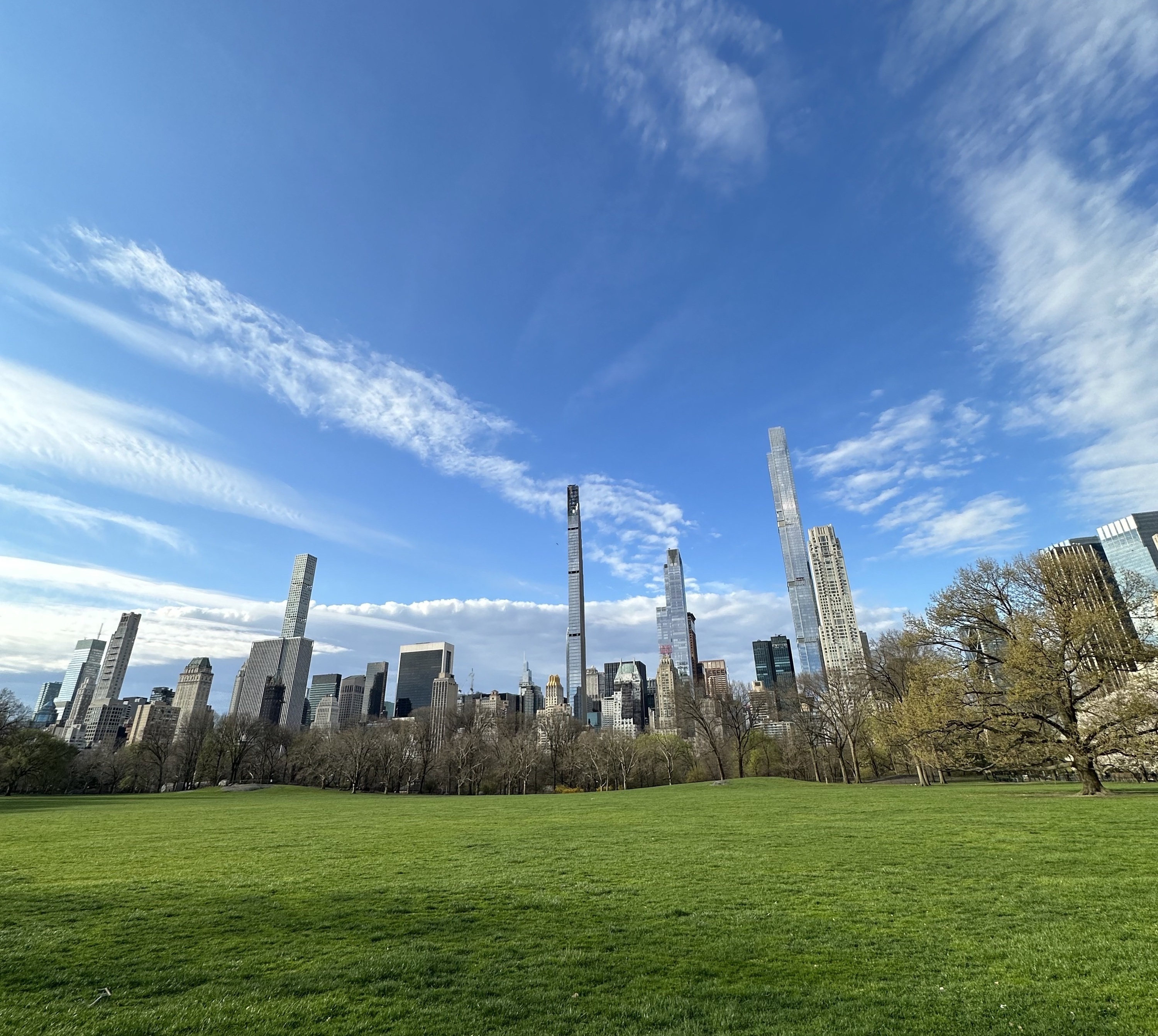 Central Park with a green grassy field and a sunny blue sky.