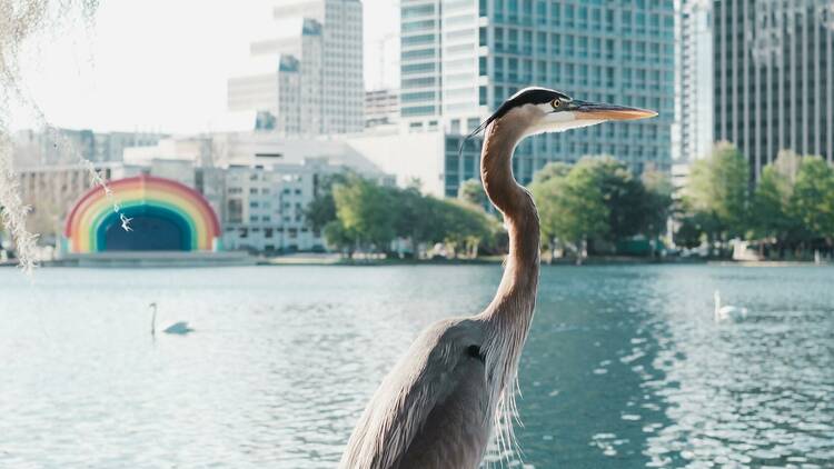 Lake Eola, Florida