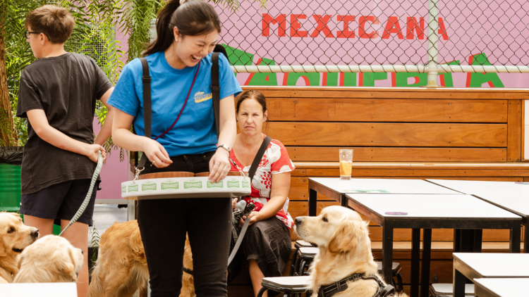 A woman gives a golden retriever a treat from a stand.