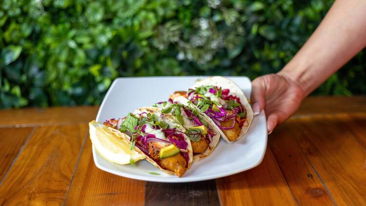 Fish tacos on a plate.