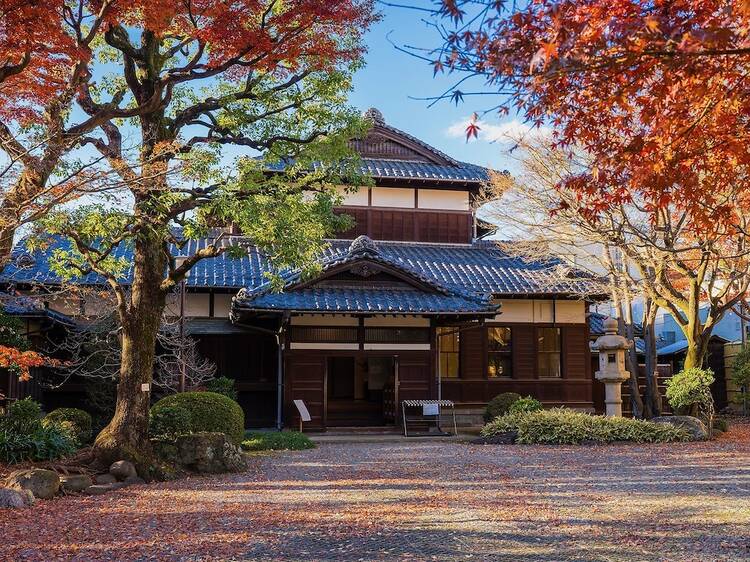 All-Wood Tower Near Tokyo Fuses Modern Design, Japanese Tradition