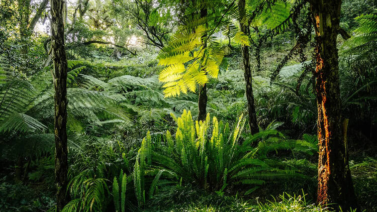 Os melhores jardins e parques em Sintra